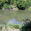 Trinity River's Elm Fork Overlook