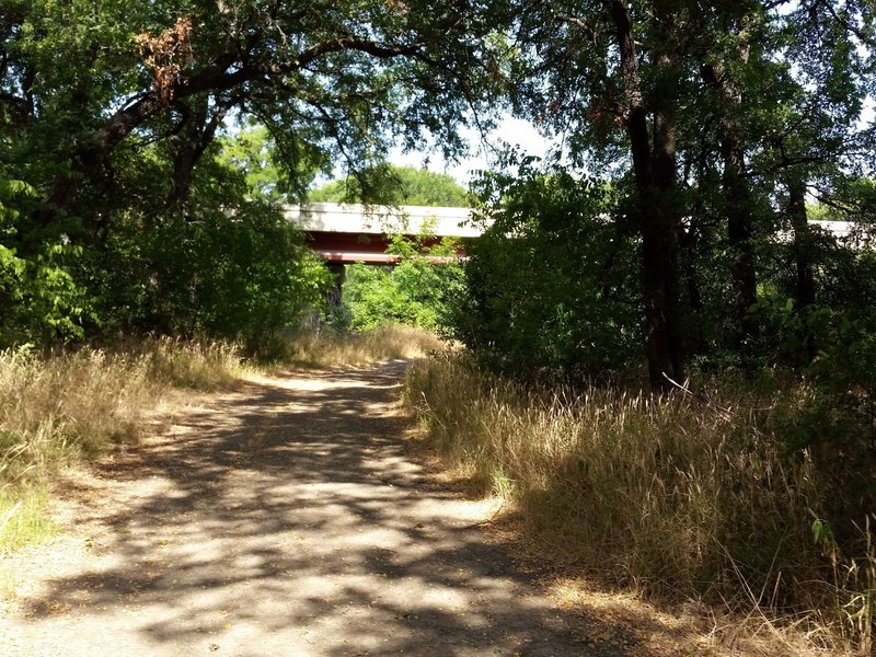 River & Pond Loops shared path