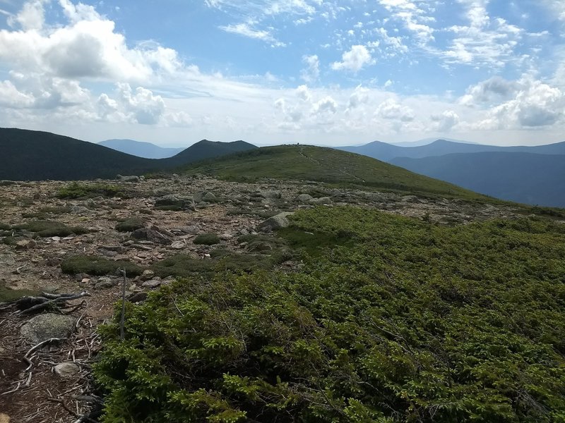 Summit of Mount Guyot as seen from the Twinway Trail. You can make that summit in about 20 minutes walking from here.