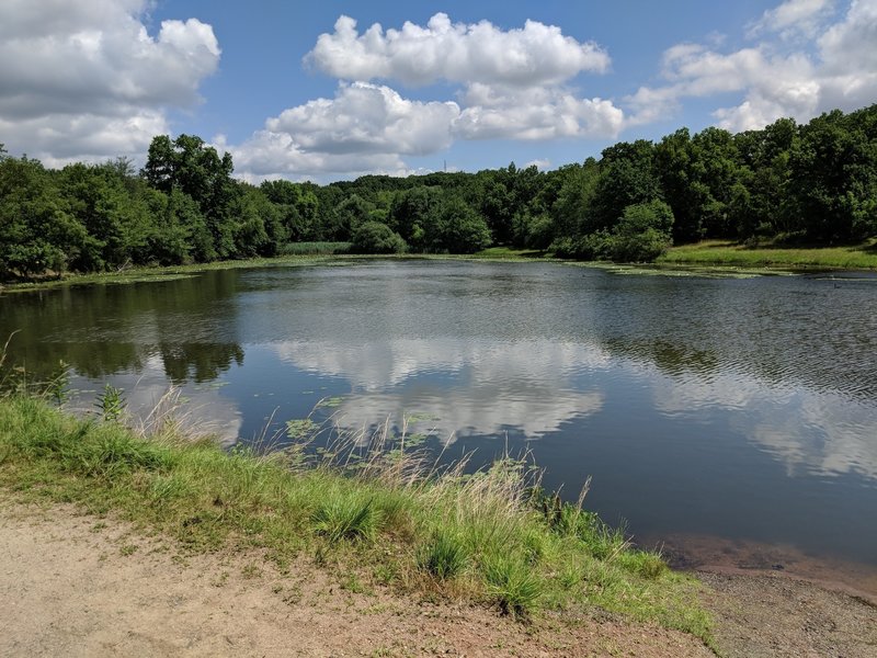 Barbour's Pond