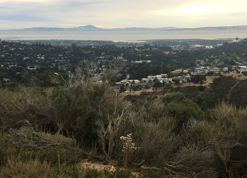 View from top of trail across SF Bay