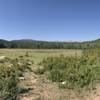 Small mountain pond surrounded by marsh land