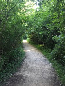 A wooded section of the River Trail at Heritage Park