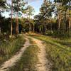 Yellow Loop trailhead off White Loop Trail