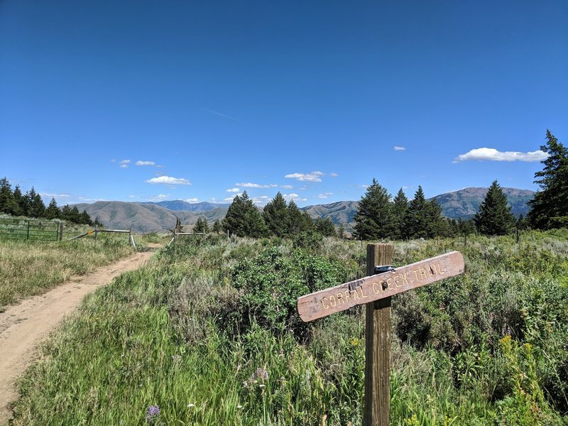 Top of Corral Creek trail