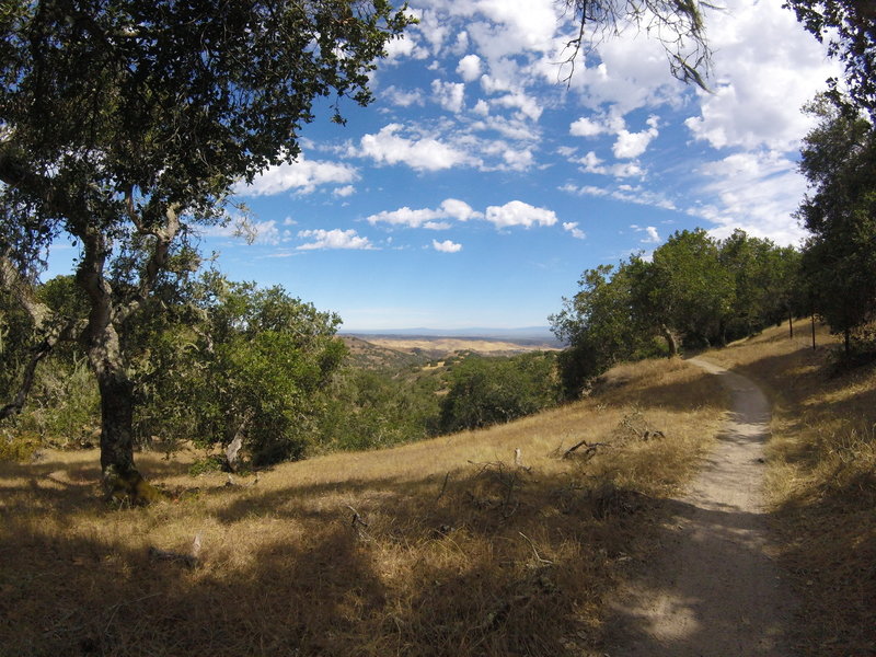 Heading down Gilson Gap trail from Ollason Trail