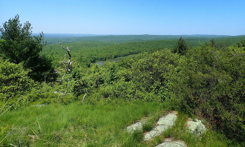 View from the Acropolis trail