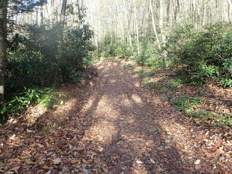 Furnace Creek Trail