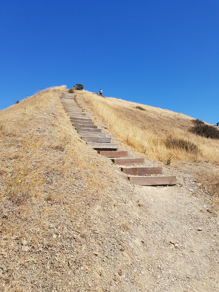 Trail up to East Vista Point