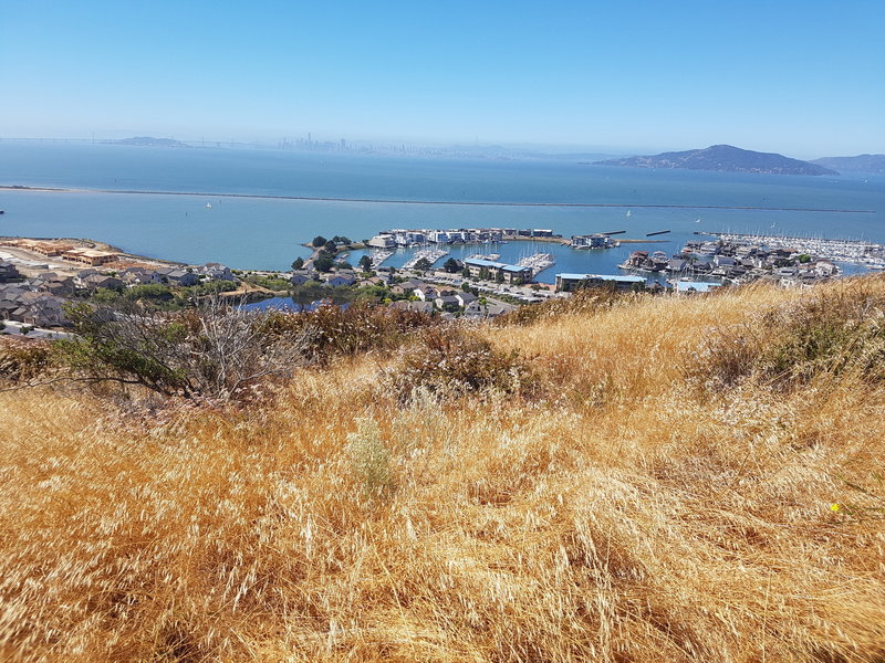 Views of the Harbor and San Francisco in the distance