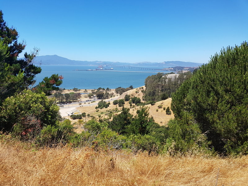 Marin and the Richmond Bridge