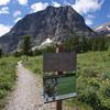 The trail starts in a meadow that is full of wildflowers in the spring. It's a nice start to a steep trail.