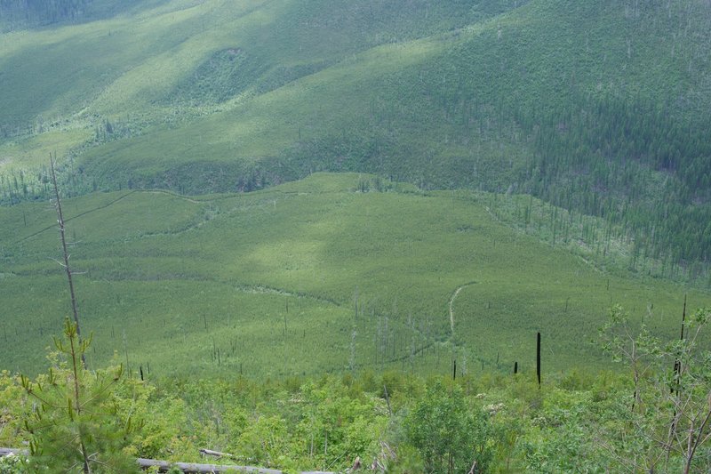 From high up on the trail, you can look down and see how the trail sneaks through the shrubs and bushes far below.