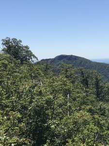 View of Old Rag from the summit of Robertson Mountain.