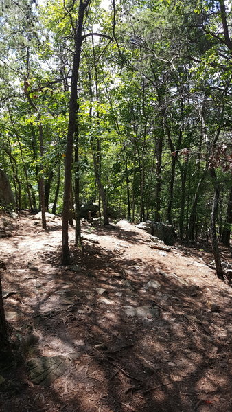 Heading down the Rocktop Trail from the sumit!