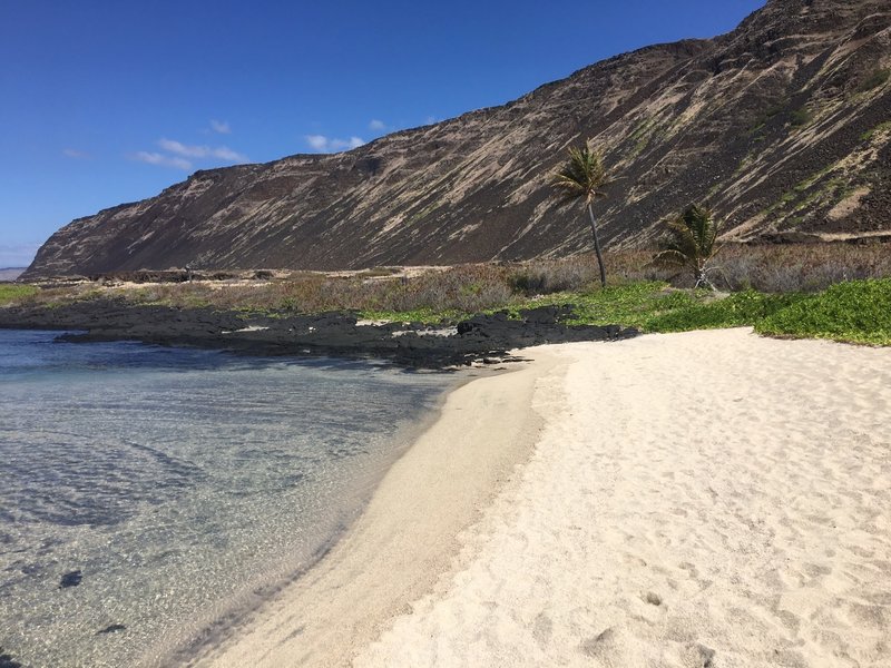 Looking up towards the Pali on the beach at Halapē