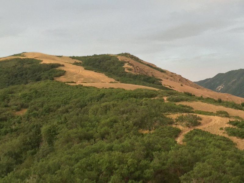 A view of monster hill (the 3rd crux) from atop the 2nd crux. An up-hill candy-land! You'll climb to the high point on the sky-line on the left. You lose altitude while making your way to the trail visible in the lower-right.