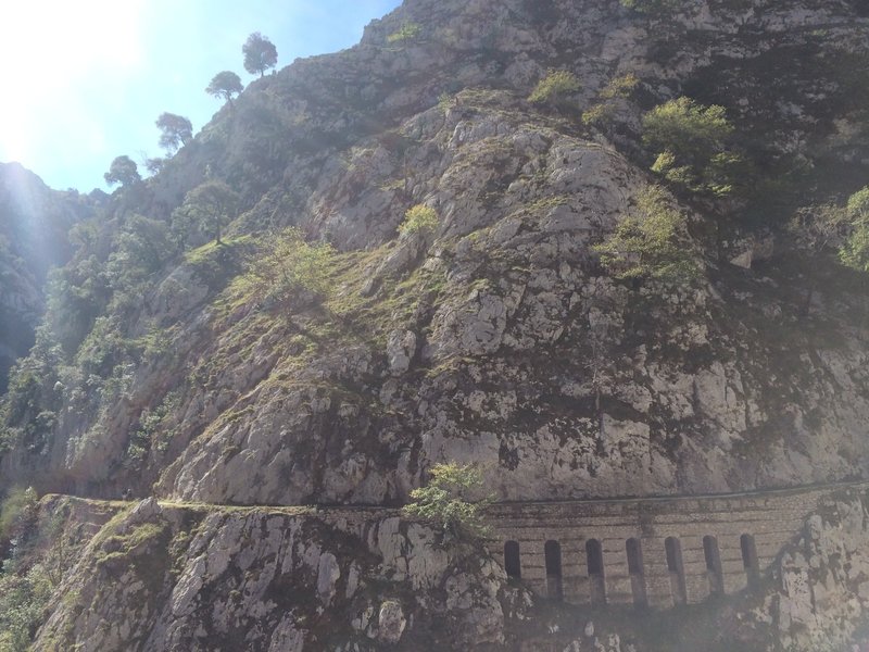 A view across the gorge and the winding trail