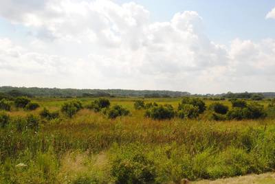 Back Bay's barrier island marshlands