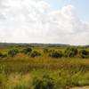 Back Bay's barrier island marshlands