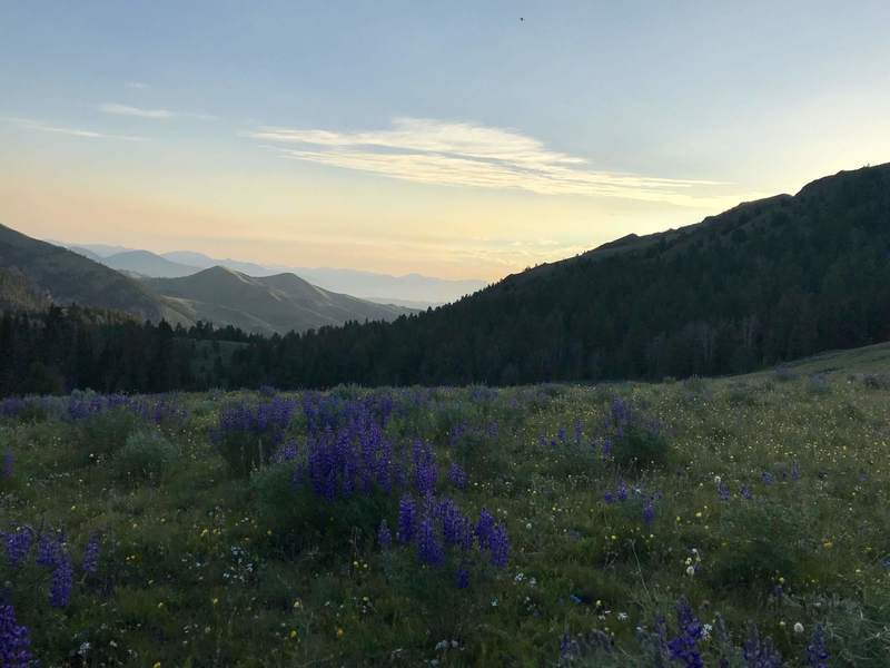 A great view after a great climb. Enjoy the downhill, it won't last long.