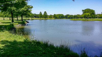 A great spot to fish, picnic, or just enjoy nature.