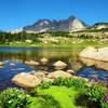 Lion Lake with Summer Wildflowers mid-July