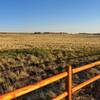 A golden hour sunset view of a grasslands plateau in the Island of the Sky Section of Canyonlands National Park, just off the Chisholm Trail.