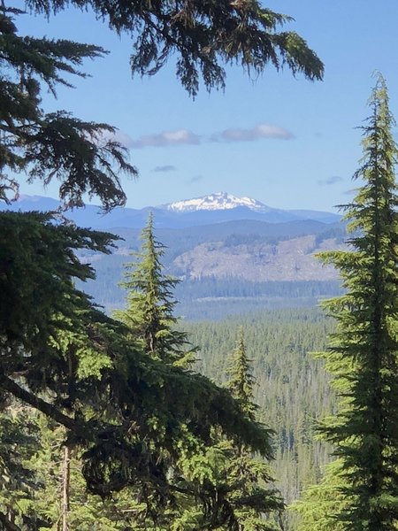 View of Diamond Peak from the beginning of the trail.