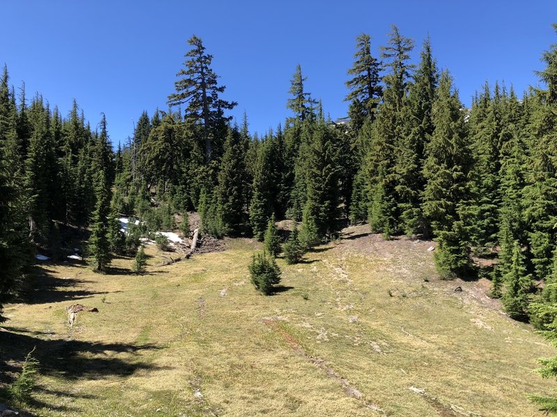 A small meadow along the trail.