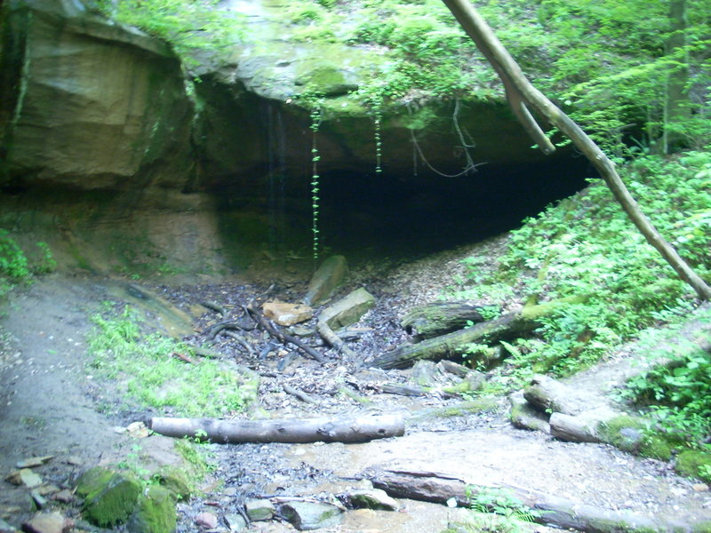 Cave on Archers Fork