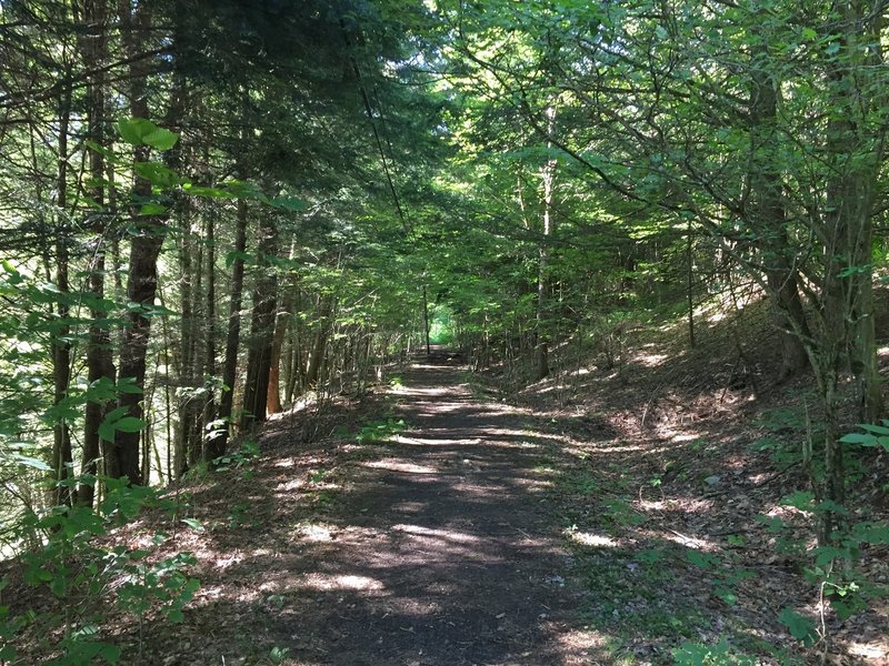 Continued rail trail. Can be muddy in sections and faint remnants of old railroad ties can be felt in places.