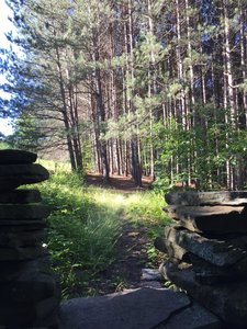 Pass through a stone wall to the loop at the end of the Bullet Hole Spur