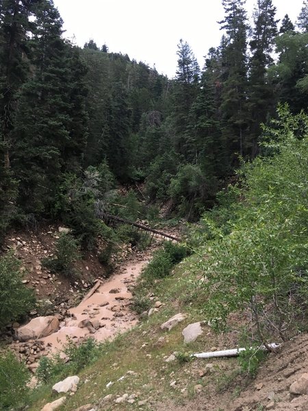 Canal Creek from the trail