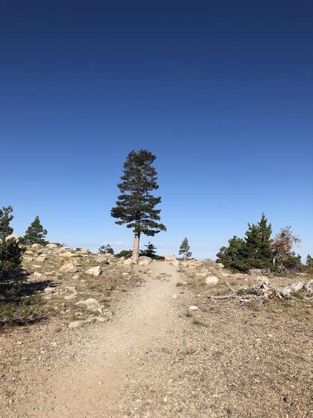 Top of the ridge before descewnding to the lake.