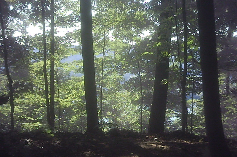 Kinda of a view of ohio river from campsite