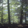 Kinda of a view of ohio river from campsite