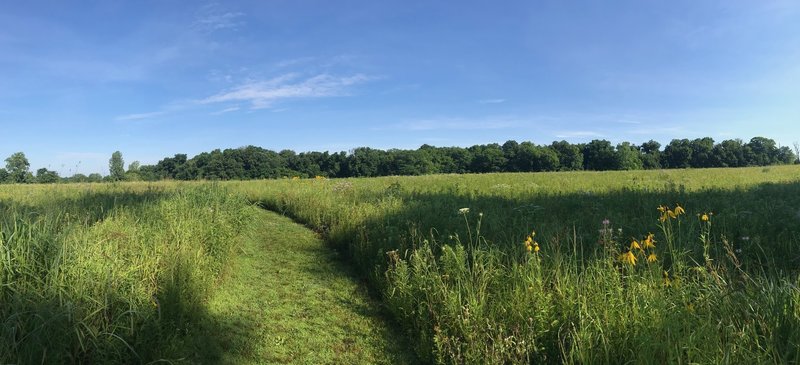 Prairie along Park Boundary Trail