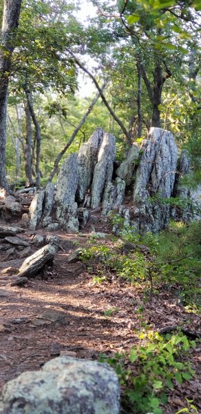 Climbing through the rock garden.