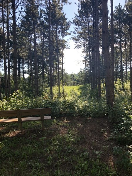 One of the many benches located on trail with a view.
