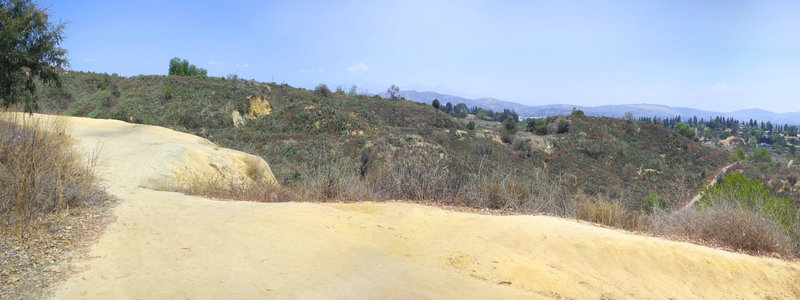 Hilltop on Castlewood Trail, looking north toward the San Gabriels.