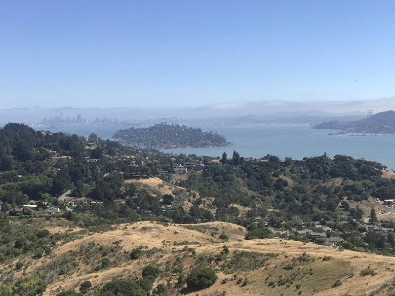 San Francisco, Tiburon and the Golden Gate Bridge