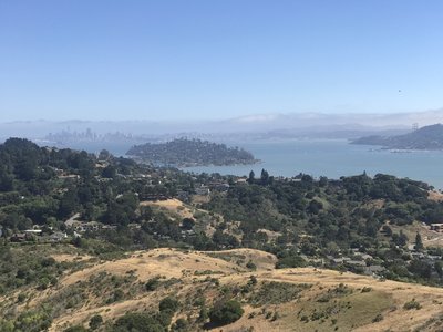 San Francisco, Tiburon and the Golden Gate Bridge