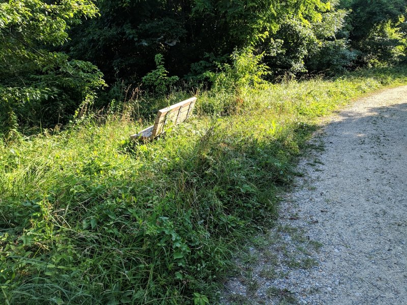 "Scenic" sections of the trail have been reclaimed by nature