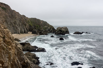 View from Tomales Point