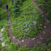 On the way to Gourd Lake.