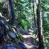 Trail between the overlook and Mason Lake