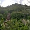 Heading up the ridge on trail.