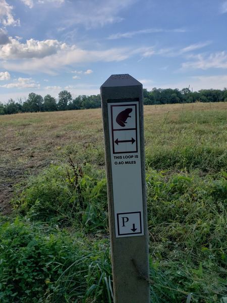 Beaver Trail back loop around the field