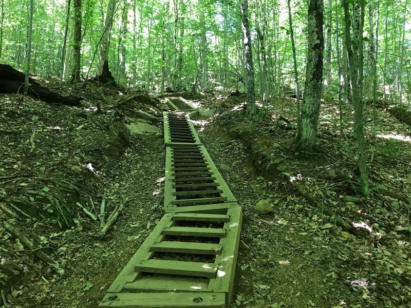 Steps on Mt Arab Trail